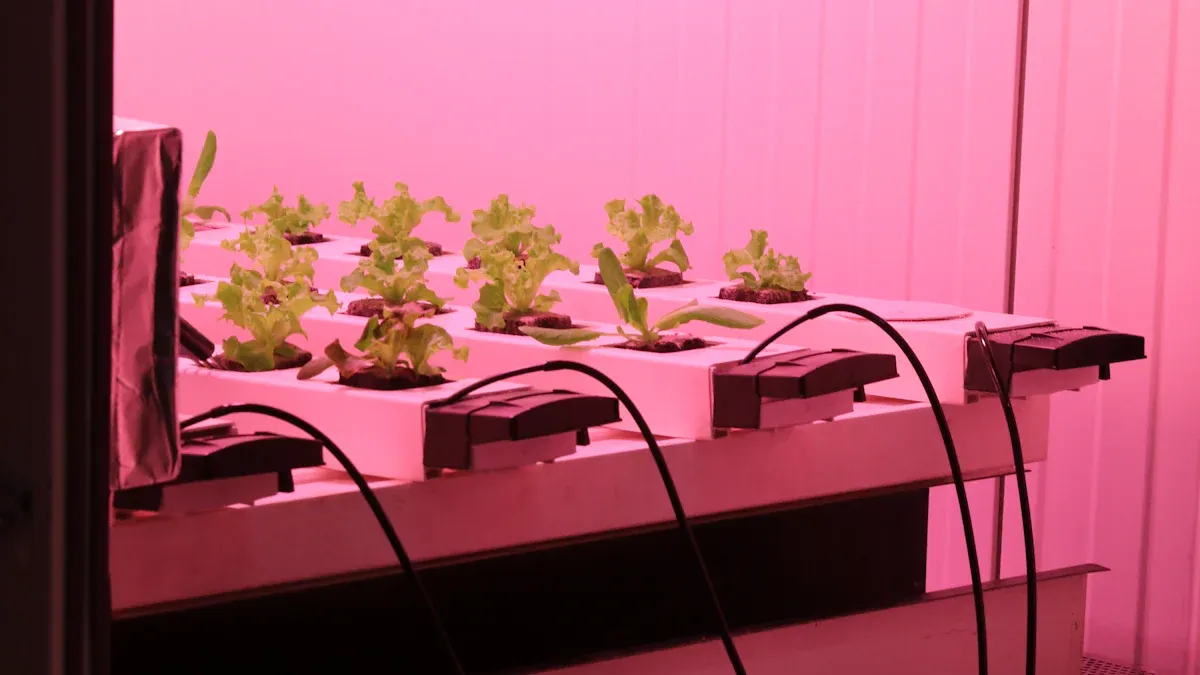 Können vertikale Wachstumslampen Ihren Pflanzen wirklich dabei helfen, besser zu wachsen?